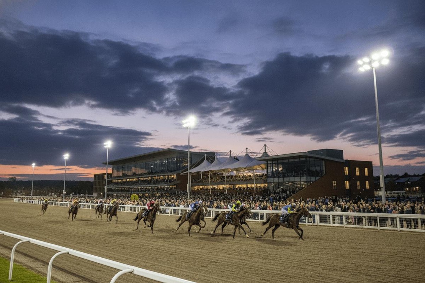 Floodlit evening racing, horses in the closing stages of a race